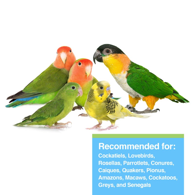 Hari Hagen Tropican Lifetime Formula Parrot Food, 4 lb Parrot Food with Peanuts & Sunflower Seeds and Balance Nutrition Levels - Image 3